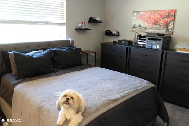 1311 Yellowjacket Ln, Gardnerville, NV 89460 - bedroom featuring carpet floors