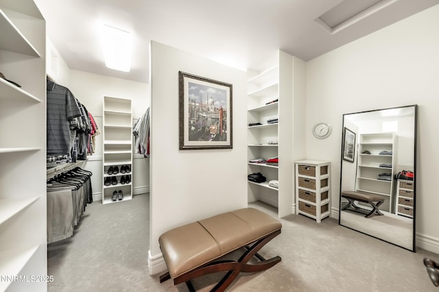 14200 Wild Quail Ct, Reno, NV 89511 - spacious closet with attic access and carpet