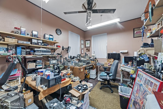 1184 Stephanie Way, Minden, NV 89423 - home office featuring ceiling fan