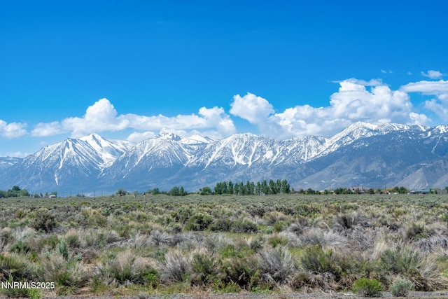 1184 Stephanie Way, Minden, NV 89423 - mountain view