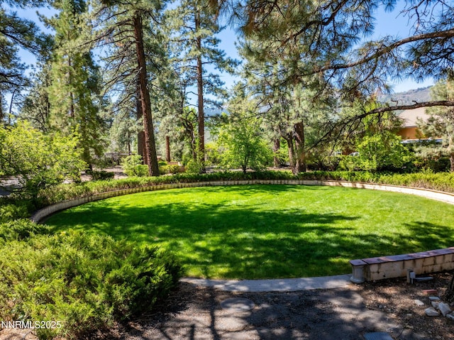 390 Sylvan Ct, Verdi, NV 89439 - view of green lawn