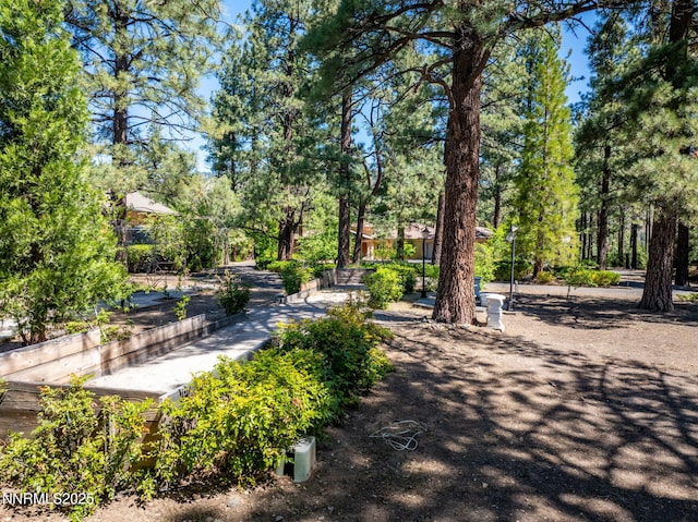 390 Sylvan Ct, Verdi, NV 89439 - surrounding community featuring view of wooded area