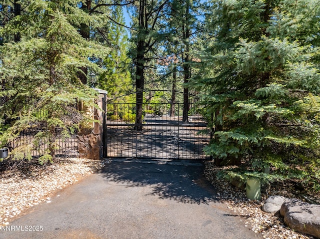 390 Sylvan Ct, Verdi, NV 89439 - view of gate
