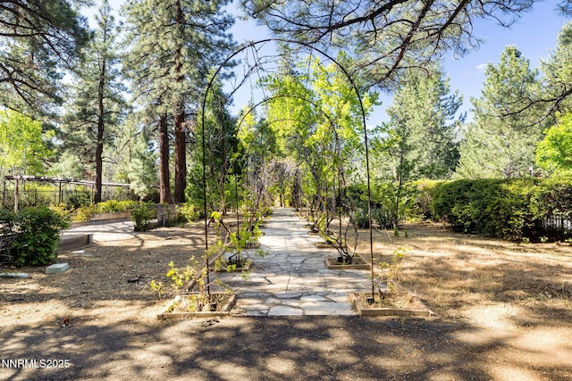 390 Sylvan Ct, Verdi, NV 89439 - view of surrounding community