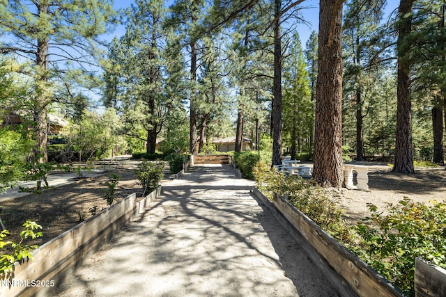 390 Sylvan Ct, Verdi, NV 89439 - view of surrounding community