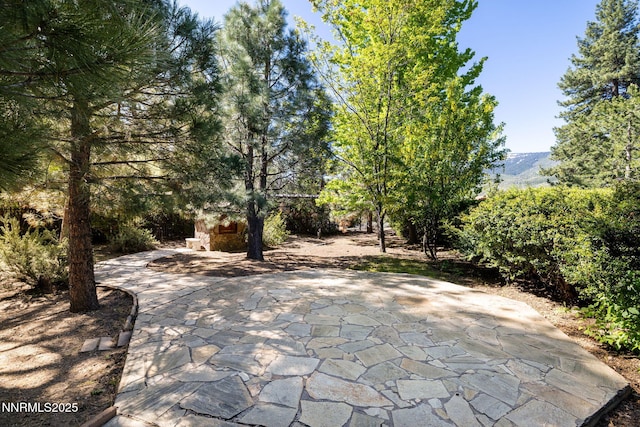 390 Sylvan Ct, Verdi, NV 89439 - view of patio