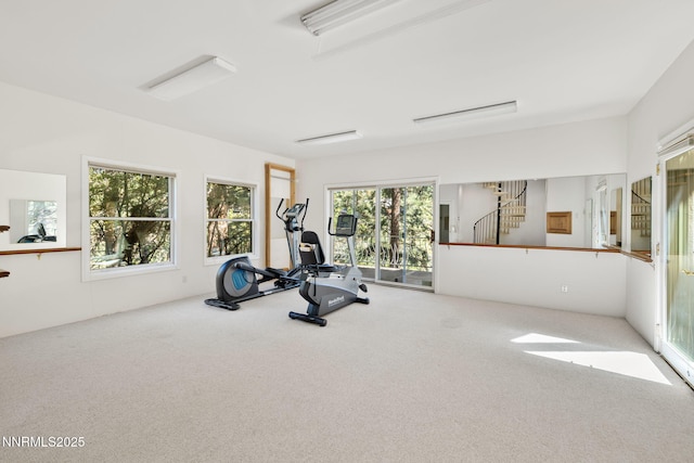390 Sylvan Ct, Verdi, NV 89439 - exercise room featuring carpet flooring