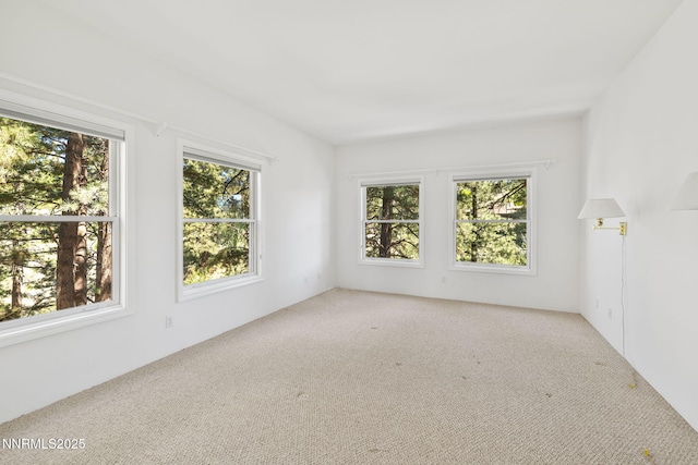 390 Sylvan Ct, Verdi, NV 89439 - unfurnished room featuring carpet floors