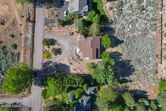 1147 Autumn Hills Rd, Gardnerville, NV 89460 - photo 41