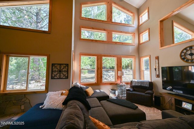 1147 Autumn Hills Rd, Gardnerville, NV 89460 - photo 8