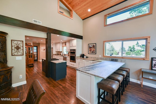 1147 Autumn Hills Rd, Gardnerville, NV 89460 - photo 16