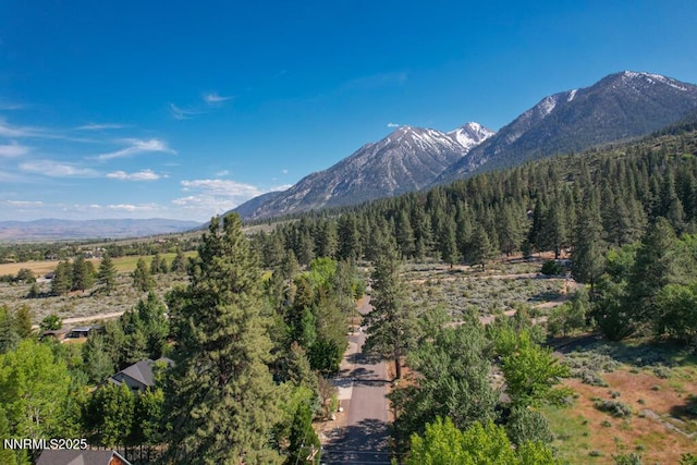 1147 Autumn Hills Rd, Gardnerville, NV 89460 - photo 46