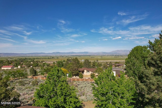 1147 Autumn Hills Rd, Gardnerville, NV 89460 - photo 42