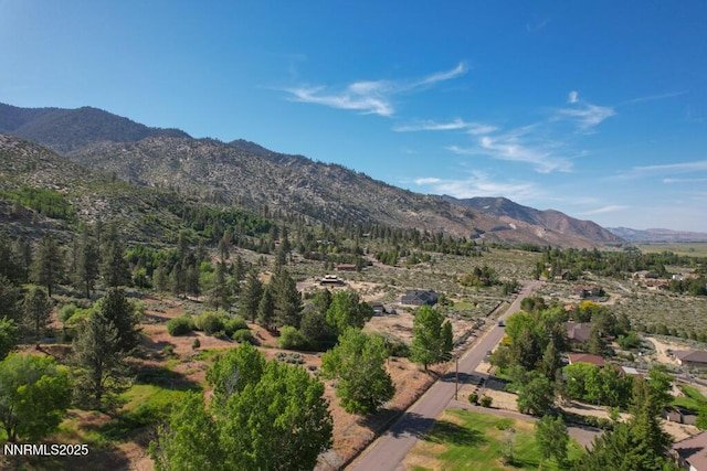 1147 Autumn Hills Rd, Gardnerville, NV 89460 - photo 43
