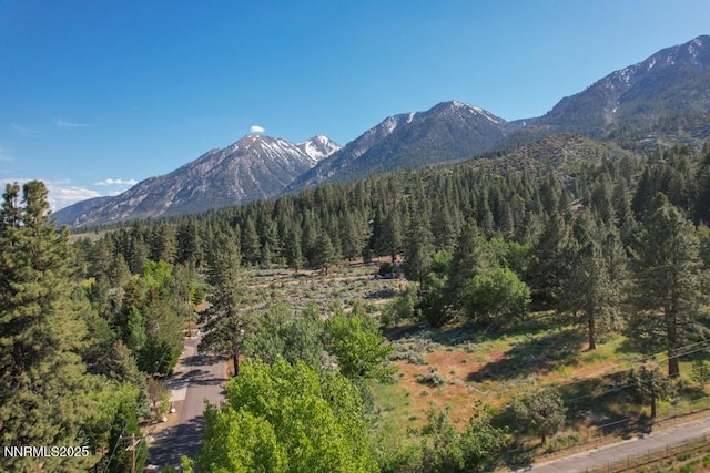 1147 Autumn Hills Rd, Gardnerville, NV 89460 - photo 44