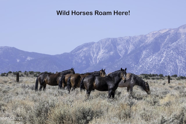 TBD Veris Ct Unit 2, Gardnerville, NV 89410