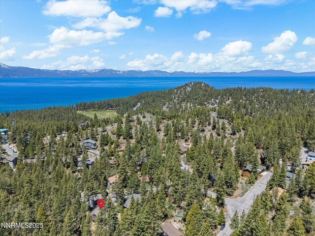 5 Ute Ct, Zephyr Cove, NV 89448 - view of property location with a forest and a water and mountain view