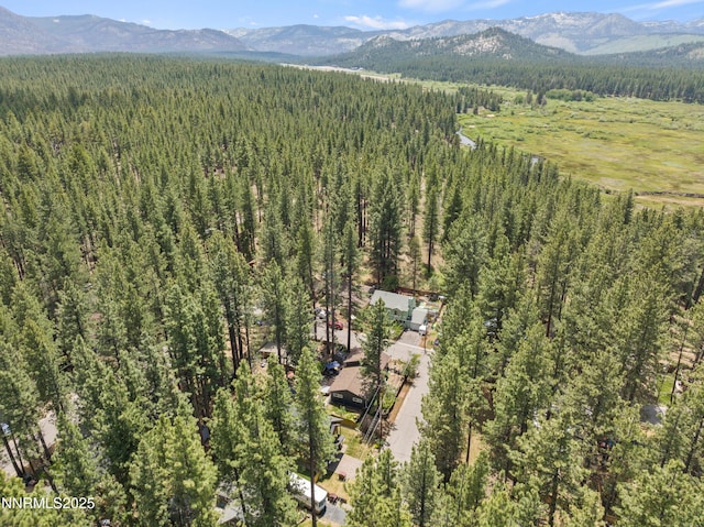 2450 Pinter Ave, South Lake Tahoe, CA 96150 - aerial view of a forest and mountains