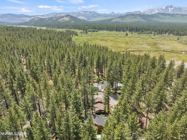 2450 Pinter Ave, South Lake Tahoe, CA 96150 - view of mountain background featuring a heavily wooded area