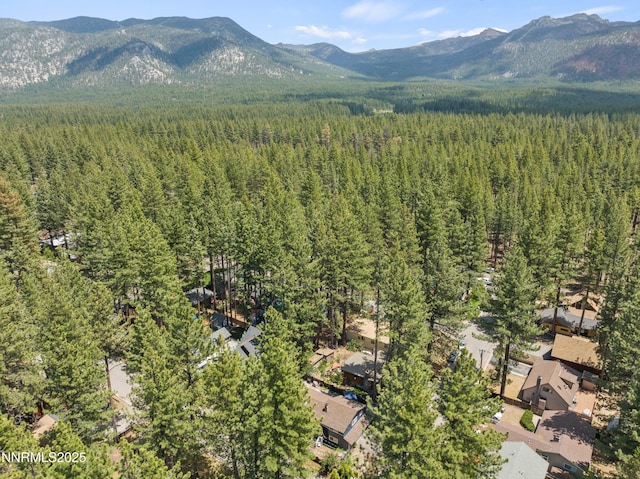 2450 Pinter Ave, South Lake Tahoe, CA 96150 - mountain view featuring a heavily wooded area