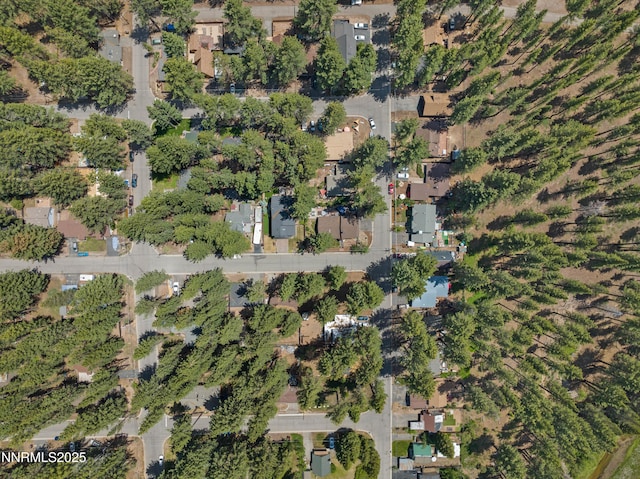 2450 Pinter Ave, South Lake Tahoe, CA 96150 - view of property location