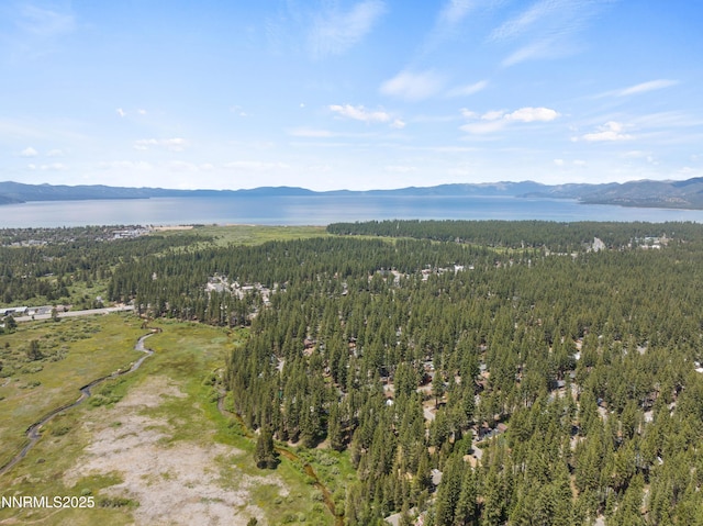 2450 Pinter Ave, South Lake Tahoe, CA 96150 - view of mountain backdrop with a forest and a large body of water