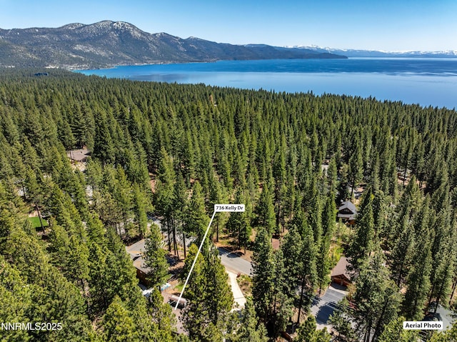 736 Kelly Dr, Incline Village, NV 89451 - aerial view of a heavily wooded area and a water and mountain view