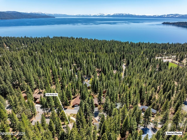 736 Kelly Dr, Incline Village, NV 89451 - aerial view of property and surrounding area with a heavily wooded area, a water and mountain view, and property boundaries highlighted