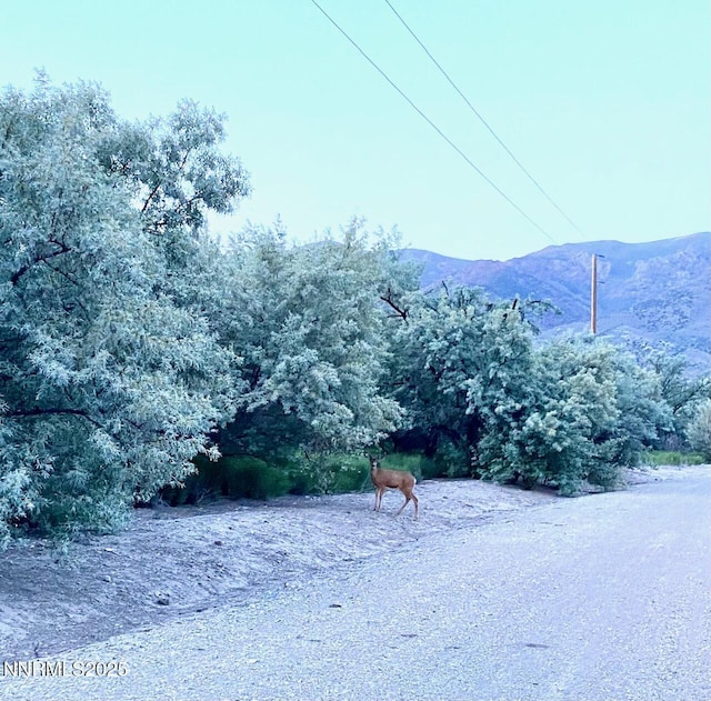 21775 Titanium Ave, Lovelock, NV 89419