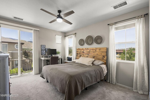 1201 Fonterra Way, Carson City, NV 89701 - photo 12