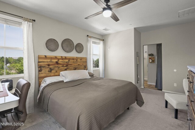 1201 Fonterra Way, Carson City, NV 89701 - photo 13