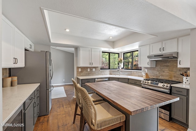 1626 Spring View Ct, Sparks, NV 89436 - kitchen with a raised ceiling, under cabinet range hood, stainless steel appliances, wood counters, and recessed lighting