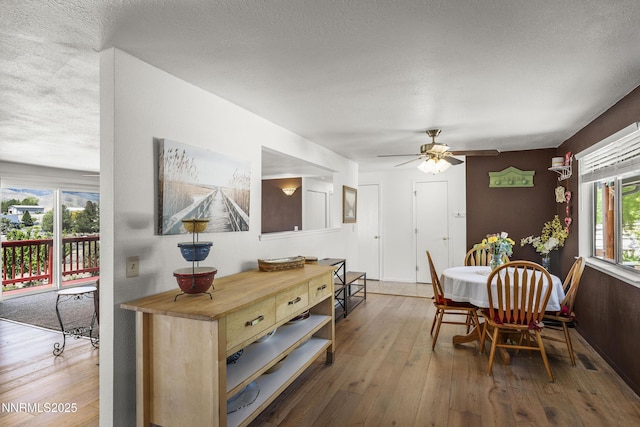 4840 Gentry Ln, Carson City, NV 89701 - dining room with hardwood / wood-style floors, ceiling fan, and a textured ceiling