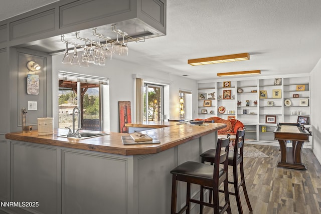 4840 Gentry Ln, Carson City, NV 89701 - bar with a sink, a textured ceiling, and dark wood finished floors