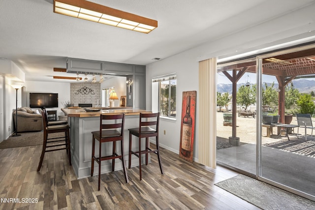 4840 Gentry Ln, Carson City, NV 89701 - kitchen with dark wood-style flooring, butcher block countertops, gray cabinetry, a brick fireplace, and a peninsula