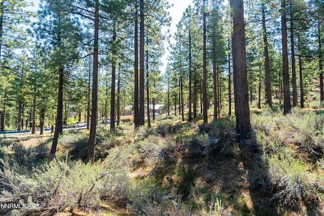249 Redding Way, Carson City, NV 89705