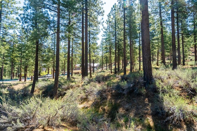 249 Redding Way, Carson City, NV 89705 - photo 4