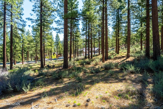 249 Redding Way, Carson City, NV 89705