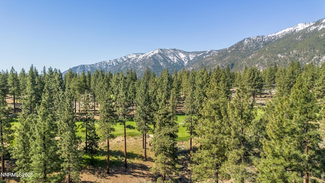 249 Redding Way, Carson City, NV 89705