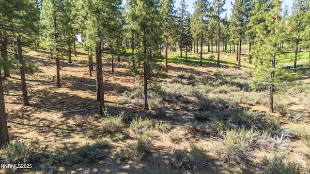 249 Redding Way, Carson City, NV 89705