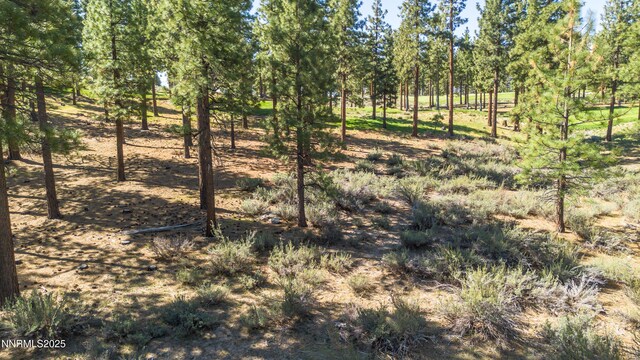 249 Redding Way, Carson City, NV 89705 - photo 12