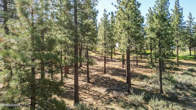 249 Redding Way, Carson City, NV 89705
