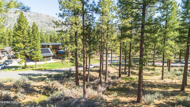 249 Redding Way, Carson City, NV 89705