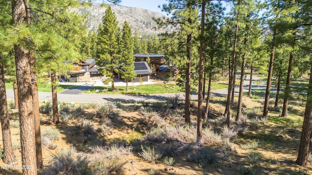 249 Redding Way, Carson City, NV 89705