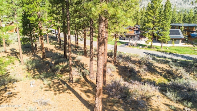 249 Redding Way, Carson City, NV 89705