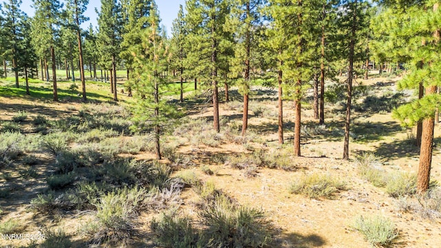 249 Redding Way, Carson City, NV 89705