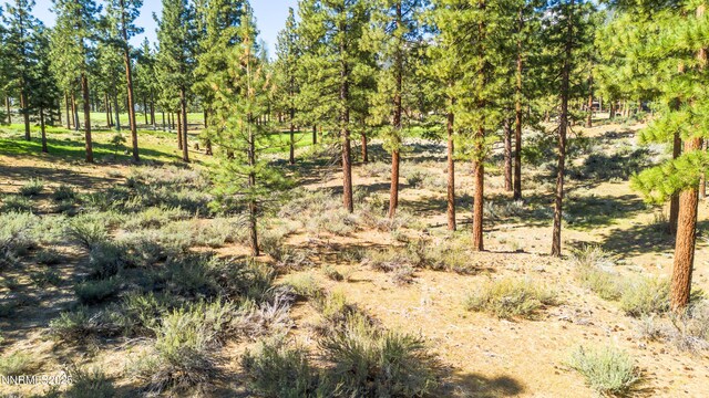 249 Redding Way, Carson City, NV 89705 - photo 20