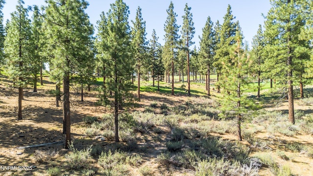 249 Redding Way, Carson City, NV 89705
