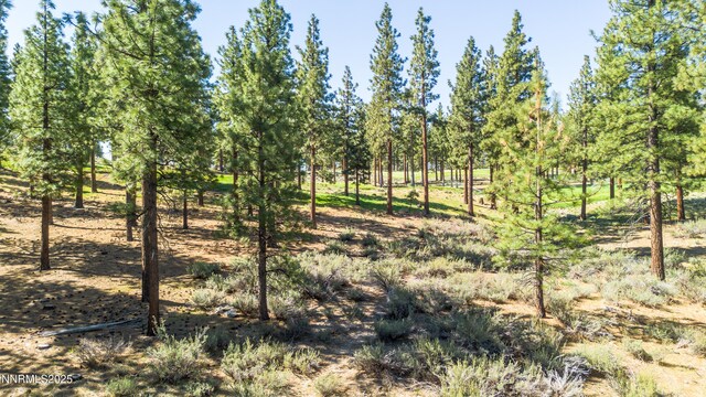 249 Redding Way, Carson City, NV 89705 - photo 21