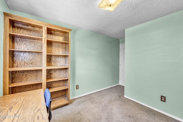2480 Meadowbrook Ln, Carson City, NV 89701 - unfurnished office featuring carpet, a textured ceiling, and baseboards